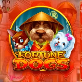 Fortune Dogs