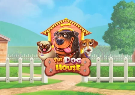 The Dog House